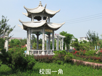 泰安海星電腦學校