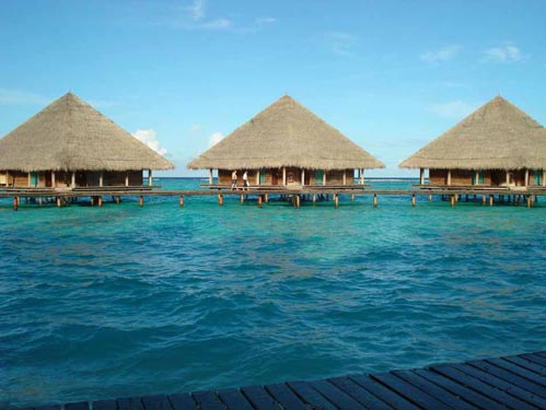 ɽ�|��У�W(w��ng)