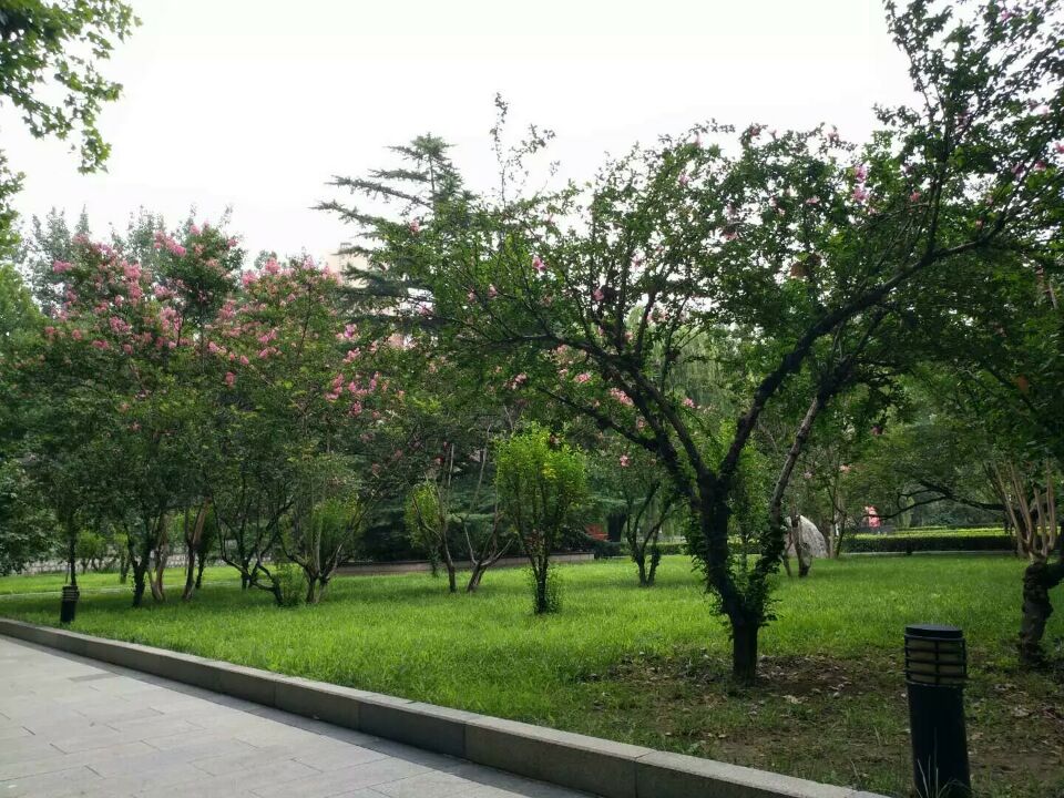 �R������W(xu��)У������(ji��n)��