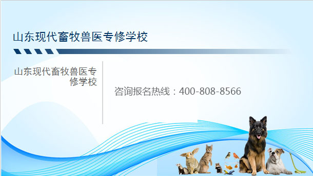 ɽ�|�F(xi��n)�������F�t(y��)���ތWУ