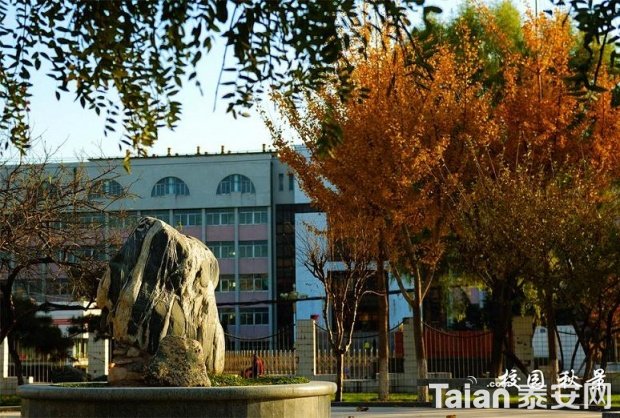 ̩�������W(xu��)Ժ����Щ�k�W(xu��)�Ӵκ��������I(y��)