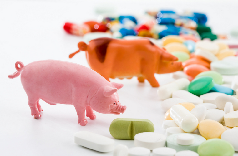 �����Ă��Fˎ�I�N�W(xu��)У��