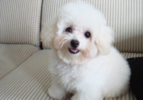 ɽ�|�F(xi��n)�������F�t(y��)���ތW(xu��)У�����Q����I��