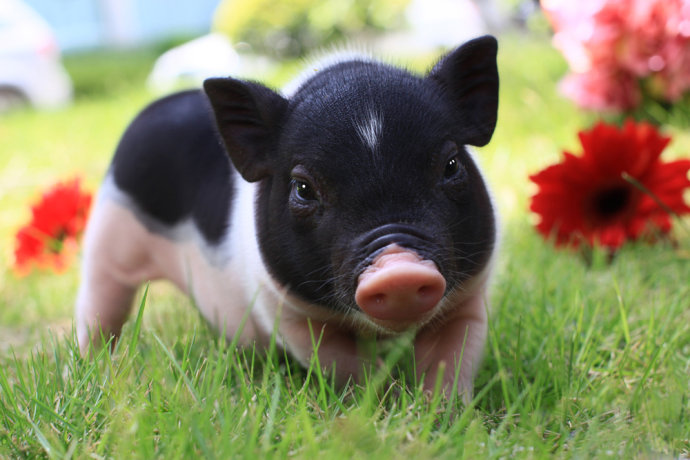 ɽ�|�F(xi��n)�������F�t(y��)���ތW(xu��)У��������ô�A(y��)���i���ⲡ