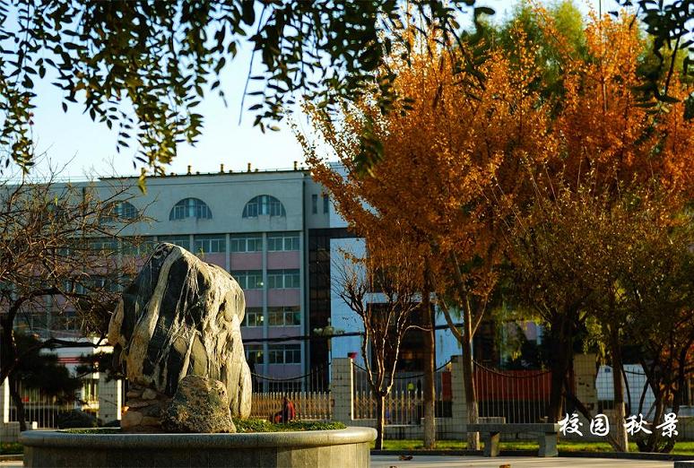 校園環(huán)境 校園環(huán)境