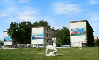 ɽ�|ú̿�l(w��i)���WУ2017�괺����������