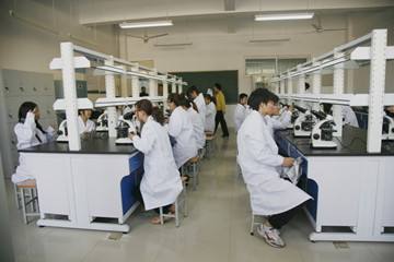 �����ЌW(xu��)�����F�t(y��)�ČW(xu��)У����