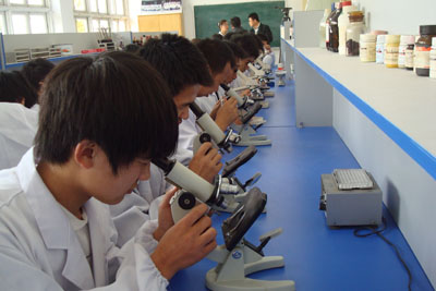 ɽ�|�F(xi��n)�������F�t(y��)���ތW(xu��)У��ô����