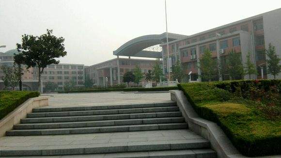 ɽ�|�t(y��)ˎ�����W(xu��)Ժ�����������M(j��n)����