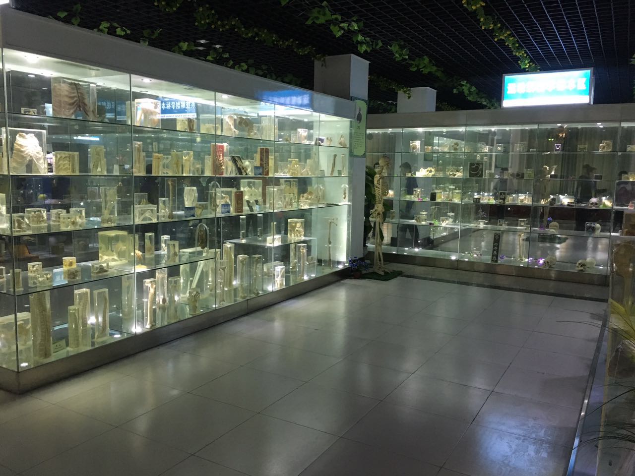 ɽ�|�����ތWԺ