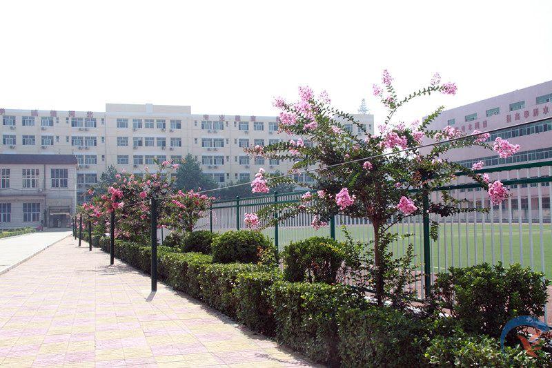 ȥ�R��ˇ�g(sh��)�W(xu��)У�W(xu��)�赸���I(y��)�Æ᣿