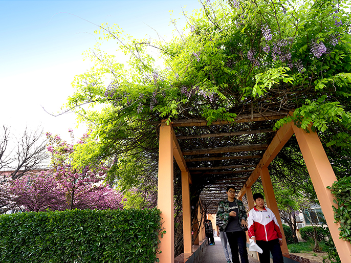 ɽ�|�A���I(y��)�еȌ�(zhu��n)�I(y��)�W(xu��)У���Y���������ӵ���