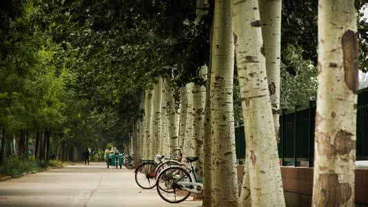 ��ɽ���\�I(y��)�Ќ���ǰ���ڻ�����������gӭ��҈���