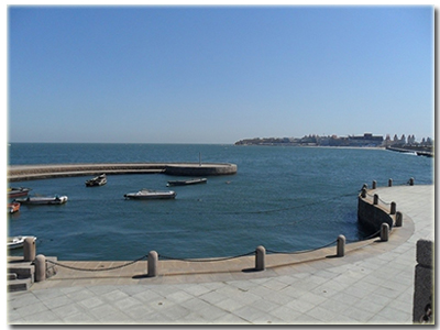 �W(xu��)�o(h��)����Ҷ��x���_(t��i)���W(xu��)Ժ��