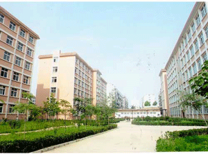 ɽ�|�ЌW(xu��)���t(y��)�ČW(xu��)У����