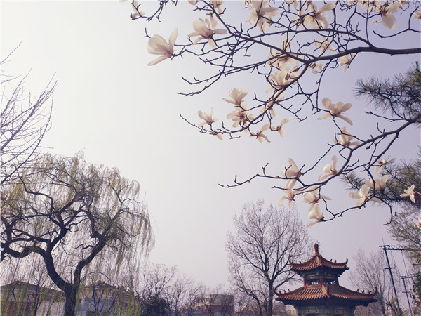 �R�����g(sh��)�W(xu��)Ժ