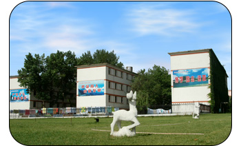 ɽ�|ú̿�l(w��i)���WУ���_�O����Щ���I(y��)�������֪����