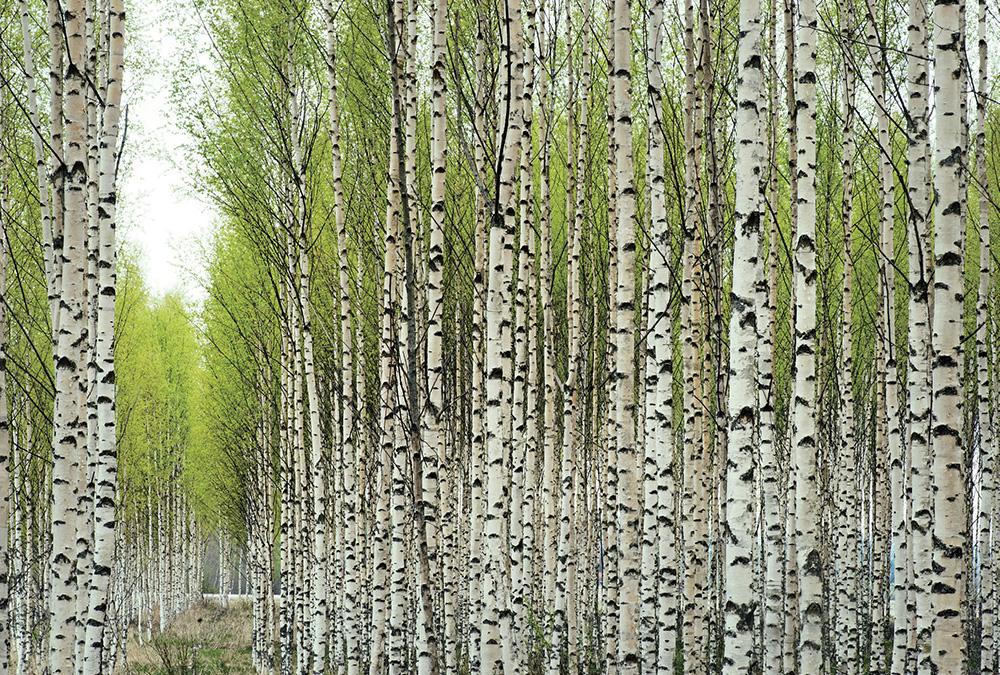 �|�I(y��ng)�F�����������l(f��)�鼆�zӰ�W(xu��)У����Ҋ(ji��n)�ĔzӰ��(g��u)�D������֪������