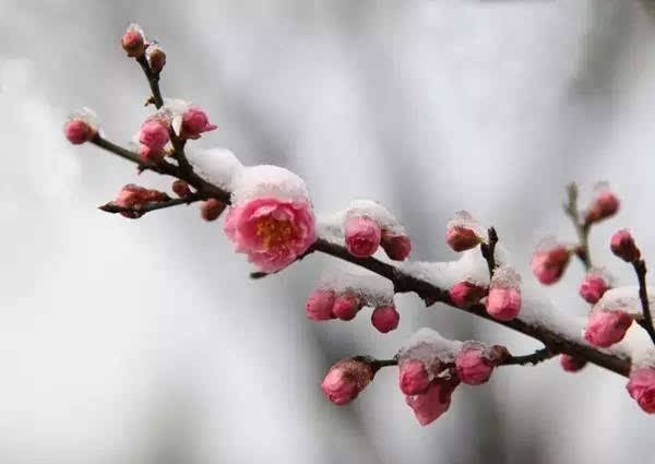 �|�I(y��ng)�F�����������l(f��)�鼆�zӰ�W(xu��)У����Ҋ(ji��n)�ĔzӰ��(g��u)�D������֪������