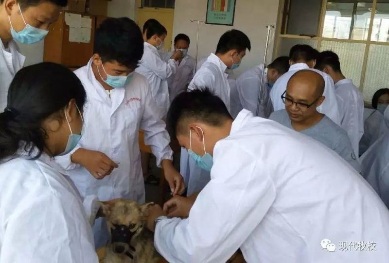 ɽ�|�F(xi��n)�������F�t(y��)���ތW(xu��)У�����t(y��)�������ٳɰ��܌W(xu��)����Щ֪�R(sh��)��