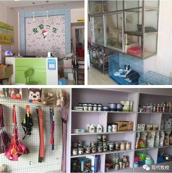 �|�F(xi��n)�������F�t(y��)���ތW(xu��)У�Æ������I(y��)�����ҵ���������