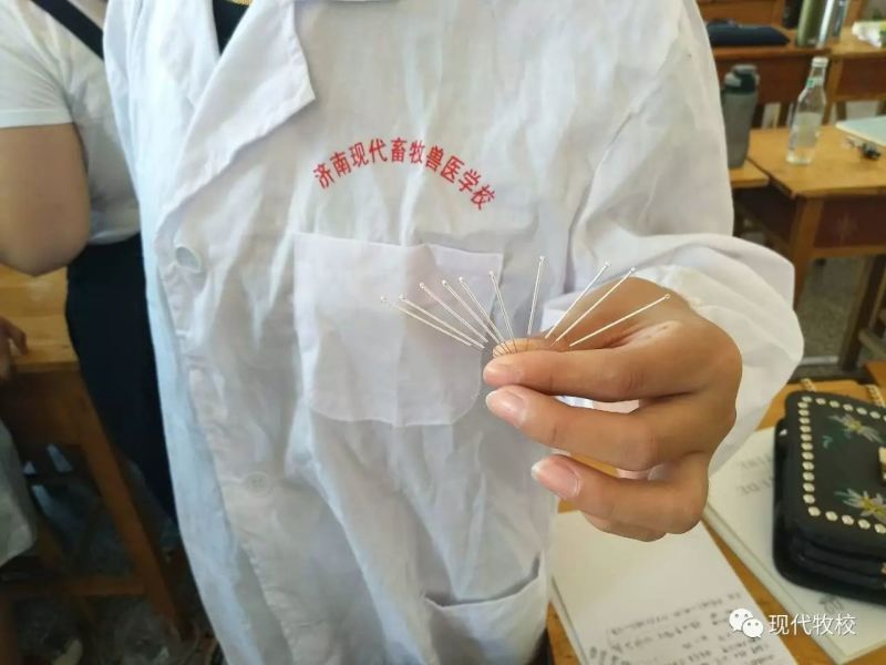 ɽ�|�F(xi��n)�������F�t(y��)���ތW(xu��)У�Æ������I(y��)�����ҵ���������