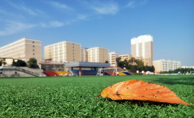 �뵽ɽ�|�f˹�_���F�͘I(y��)�������_���l(xi��ng)���O(sh��)�W(xu��)У�����