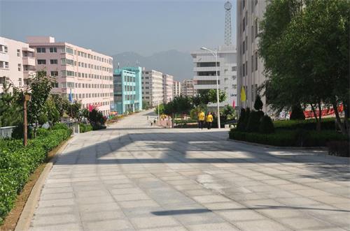 ���u���ǿƼ��W(xu��)ԺУ�@���O(sh��)��ô����