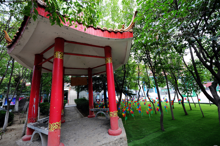 ��ʲô��Ҷ��x��ɽ�|���A��X�W(xu��)Ժ��������Щ��(y��u)��(sh��)��