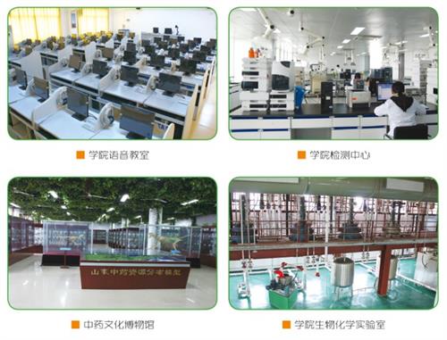 ɽ�|�t(y��)ˎ�����W(xu��)Ժ�̌W(xu��)���O(sh��)ȫ��᣿�W(xu��)���еط���(sh��)Ӗ(x��n)����