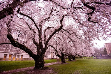 ɽ�|�A���I(y��)�еȌ��I(y��)�W(xu��)У�Æ᣿