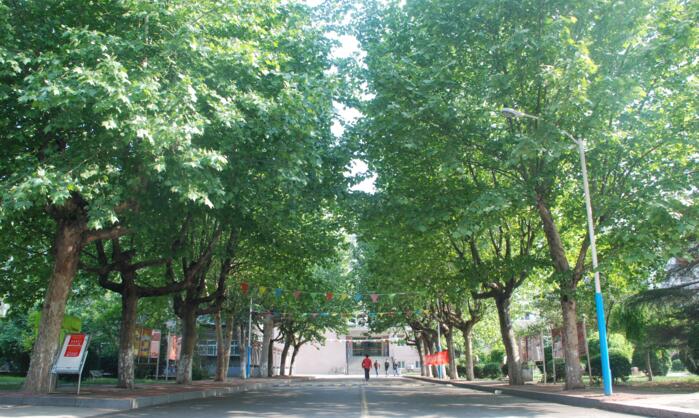 ɽ�|ұ�𼼎��WԺ �Wǰ�����WԺ 2018����������