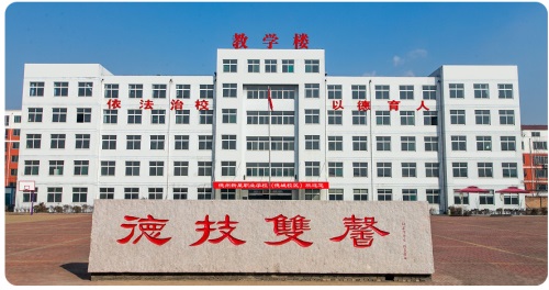 �������Ǽ����W(xu��)У���в������l������Щ��