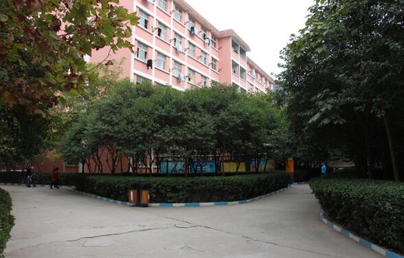 ɽ�|�����ތW(xu��)Ժ�t(y��)�W(xu��)�����߿�����ô����ֵ�È�(b��o)������