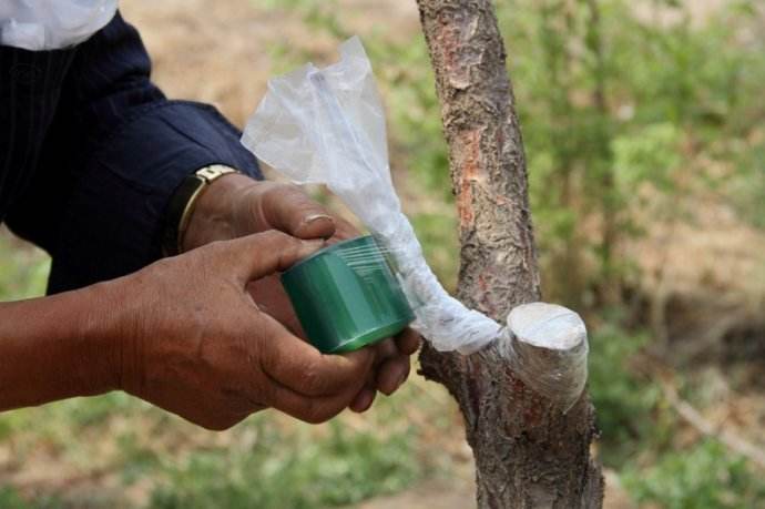 �������Ǽ����W(xu��)У���V����μ޽ӹ���(sh��)��