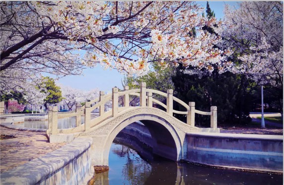 ���u�h(yu��n)�󴬆T�I(y��)�W(xu��)Ժ