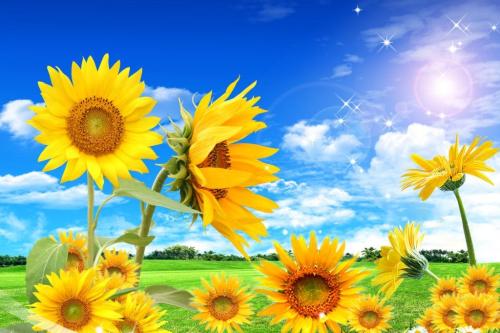 �ٿ���2018ȫ��(gu��)�߿��Y(ji��)������ʡ�ݹ����Ű�r(sh��)�g