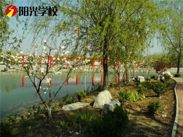 ��ʲô�ܶ����x��̩��ꖹ���܇���ތWУ��