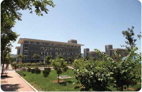 Ů���W(xu��)ʲô���I(y��)����