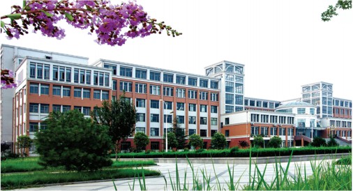 ɽ�|���������W(xu��)Ժ�ČW(xu��)�����I(y��)��������͘I(y��)����