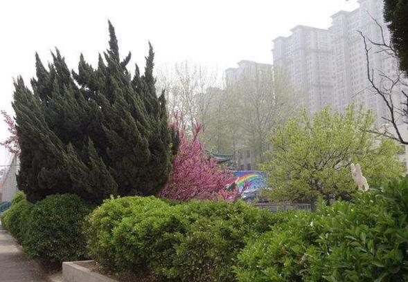 �������������������_���W(xu��)Ժ���������ĸ��΄�