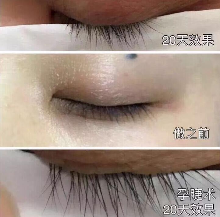 �ػݻ�ӳ��_�����������������l(f��)�W(xu��)У�ڶ�ʮ���ڰ����üy�C�n�̡����ӡ�����