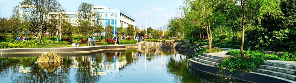 ɽ�|�����ތW(xu��)Ժ�t(y��)�W(xu��)�����߿���