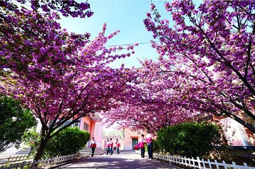 ɽ�|�A���I(y��)�еȌ��I(y��)�W(xu��)У