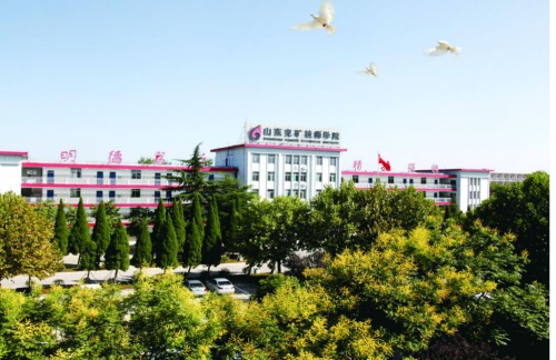 ɽ�|���V�����WԺ���W������������