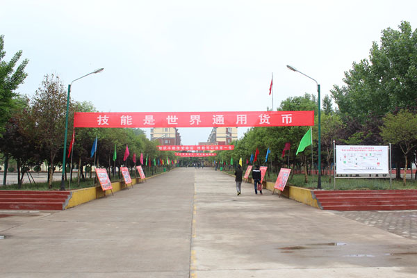 ���f�ڄ�(d��ng)����2019�괺����������Щ�l����