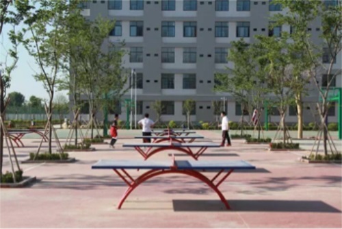 �Ї�ú�V�Ĺ��F(tu��n)ˇ�g(sh��)�W(xu��)Уɽ�|��У���I(y��)����Щ��