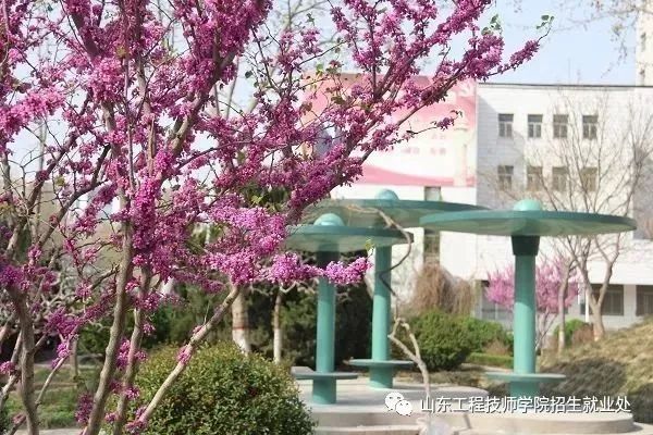 2019��ɽ�|���̼����WԺʲô�r���_ʼ������