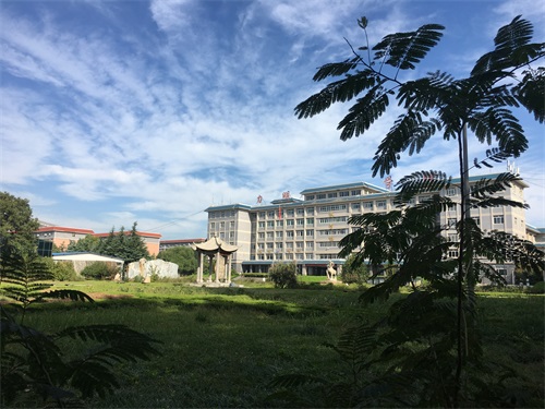 ɽ�|���������W(xu��)У������ɫ���I(y��)����Щ��