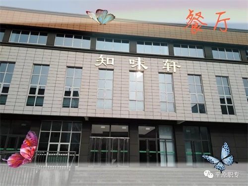 ƽԭ����ô�ӣ�